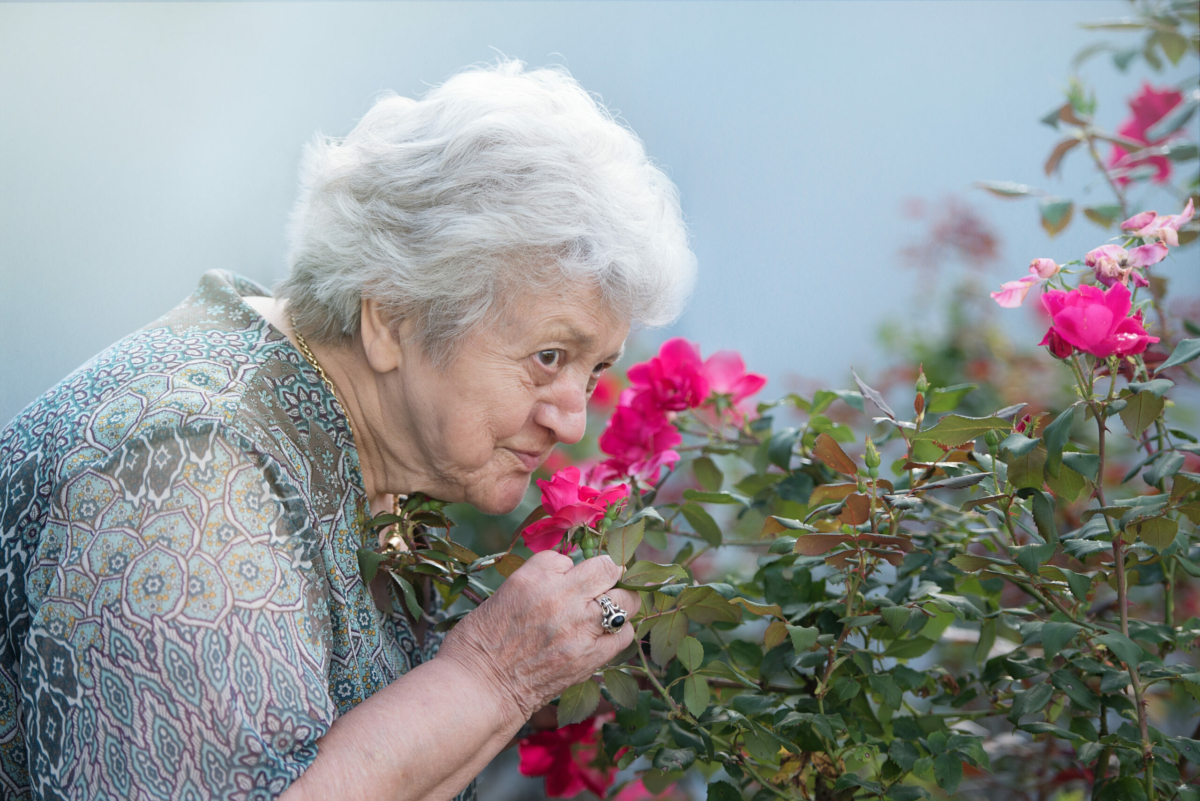 Sozialzentrum Herrenried