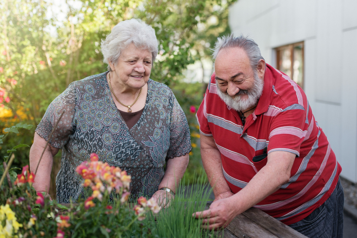 Sozialzentrum Herrenried